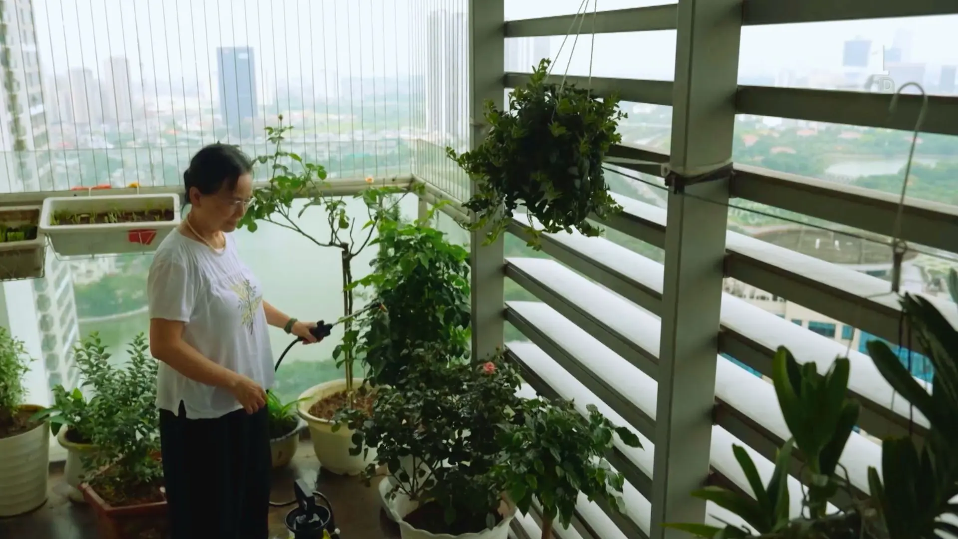 Cuộc sống trong những tòa chung cư | Người Hà Nội | 16/11/2025